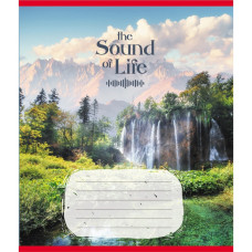 Тетрадь ученическая 