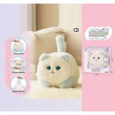 Котенок в коробке