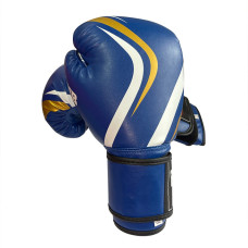 Перчатки боксерские Fight Gear Team Club NE-BOX-BF-8-BL, 8 oz, синий