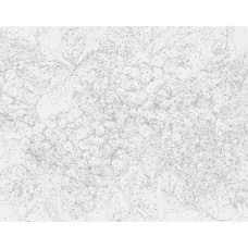 Картина за номерами "Блакитна гортензія" 40*50 см