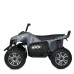 Детский электромобиль Квадроцикл M 5102EL-11(24V) до 50 кг