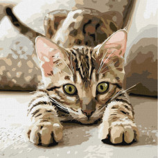 Картина по номерам Картина по номерам