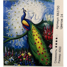 Набір для творчості "Розпис за номерами", RA3750 Набір для творчості "Розпис за номерами", RA3750