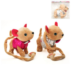 Собака Кікі, д/в, M 4306 I UA