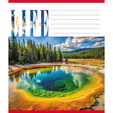 Тетрадь общая 