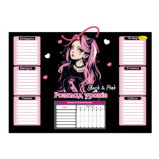 Ламинированное расписание уроков АП-0802-8 А3 Ламинированное расписание уроков АП-0802-8 А3