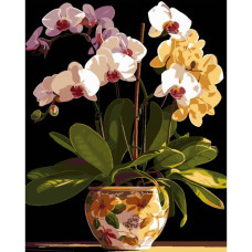 Картина по номерам на черном фоне "Вазон орхидей" 40х50 см
