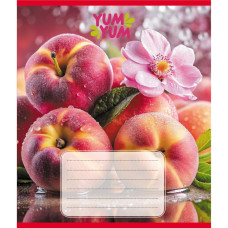 Тетрадь ученическая 