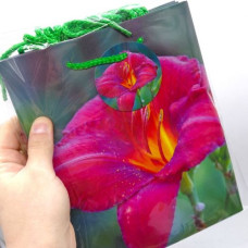 Пакет бумажный 5 шт в упаковке 18х23х10 см