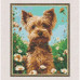 Алмазна мозаїка "Йоркширський терʼєр" 40х50 см