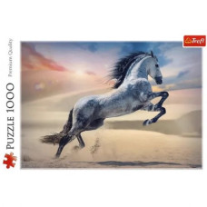 Пазлы - (1000 эл) - "Величественный конь"