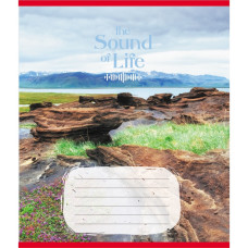 Тетрадь ученическая 