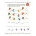 Адвент с поделками и заданиями 4-6 лет АДВ009, 15 шаблонов