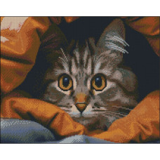 Алмазная мозаика без подрамника 