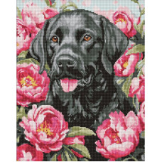 Алмазная мозаика 