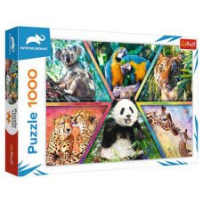 Пазлы "Страна животных", 1000 элементов