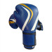 Перчатки боксерские Fight Gear Team Club NE-BOX-BF-10-BL, 10 oz, синий