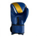 Перчатки боксерские Fight Gear Team Club NE-BOX-BF-10-BL, 10 oz, синий