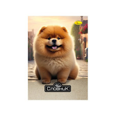 Тетрадь-словарь по иностранному языку 