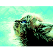 Набір для розпису за номерами "Замріяний котик", ZB 64237