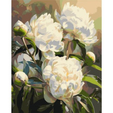 Картина по номерам "Гармония пионов" 40х50 см