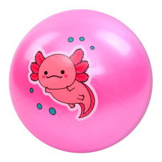 Мяч детский 