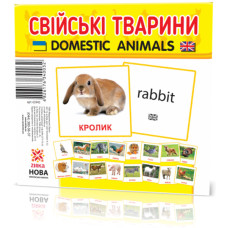 Развивающие карточки 