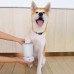 Лапомойка автоматическая Pet Foot Wash, от USB, Белый / Лапомойка с силиконовыми щетинками / Мойка для лап собак Лапомойка автоматическая Pet Foot Wash, от USB, Белый / Лапомойка с силиконовыми щетинками / Мойка для лап собак