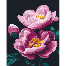 Картина по номерам Картина по номерам