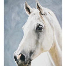 Алмазная мозаика Алмазная мозаика