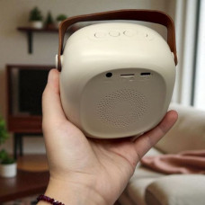 Колонка (2 микрофона, bluetooth, подсветка, изменение голоса, type-c, слот для карты памяти, разъем AUX)
