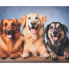 Алмазная мозаика без подрамника 