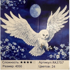 Набір для творчості "Розпис за номерами", RA3757 Набір для творчості "Розпис за номерами", RA3757