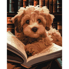 Картина по номерам "Пушистый читатель" 40х50 см