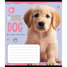 Тетрадь ученическая 