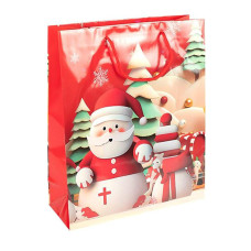 Пакет подарочный Пакет подарочный