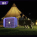 Электрическая лампа от комаров Electric Shock Mosquito Lamp BG-009 Антимоскина лампа от насекомых Электрическая лампа от комаров Electric Shock Mosquito Lamp BG-009 Антимоскина лампа от насекомых
