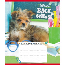 Тетрадь ученическая 