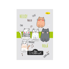 Тетрадь-словарь по иностранному языку 