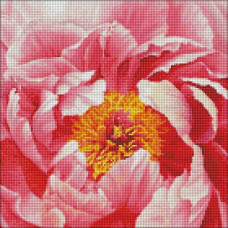 Алмазная мозаика "Яркий пион" 40х40 см