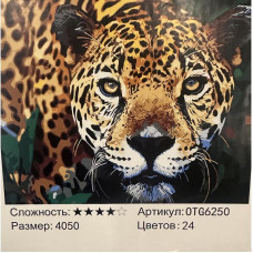 Набір для творчості "Розпис за номерами", OTG6250 Набір для творчості "Розпис за номерами", OTG6250