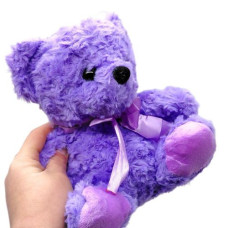 МЯГКАЯ ИГРУШКА ЦВЕТНЫЙ МИШКА 20 СМ (ФИОЛЕТОВЫЙ)