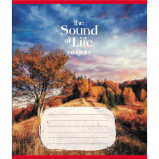 Тетрадь ученическая 