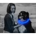 Светящийся LED ошейник для собак с USB зарядкой 50 см
