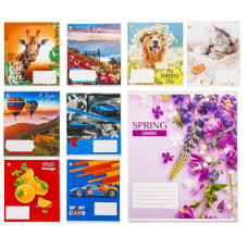 Зошит 12 арк.клітинка Тверда Мікс12КВ1 25 шт в упак, TE21113