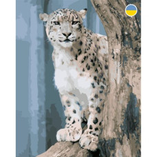 Картина по номерам "Снежный Барс" 40x50 см