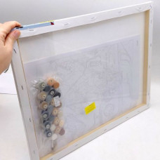 Картина по номерам "Первая скрипка" 40*50 см