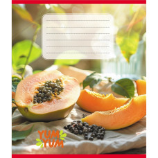 Тетрадь ученическая 