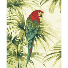 Картина по номерам "Пернатая экзотика" ★★★