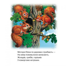 Книга о животных "Дикі тварини", укр